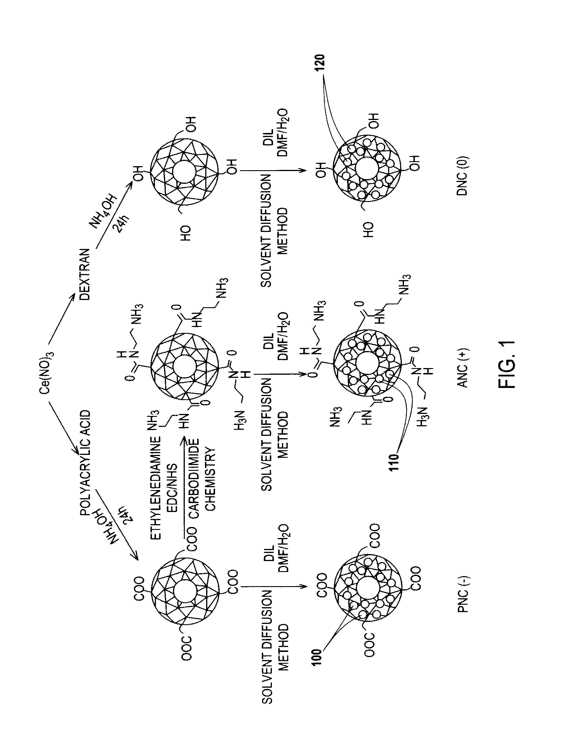 Differential Tumor Cell Cytotoxicity Via Contact With Coated Cerium Oxide Nanoparticles