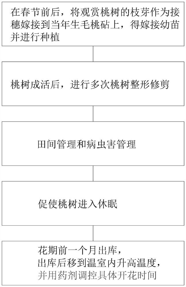 Method for regulating and controlling flowering period of ornamental peach trees in southern China