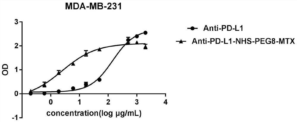 Dual specificity dimer, dual specificity dimer-drug conjugate and application of dual specificity dimer and dual specificity dimer-drug conjugate