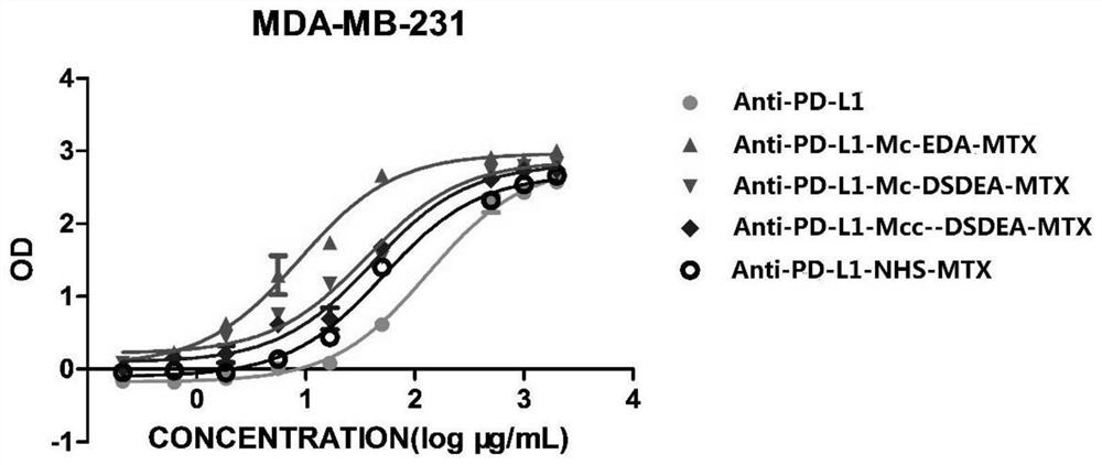 Dual specificity dimer, dual specificity dimer-drug conjugate and application of dual specificity dimer and dual specificity dimer-drug conjugate