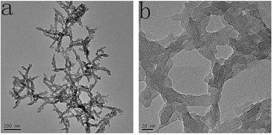 Metal organic nanometer compound, and preparation and application thereof