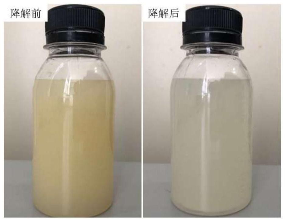 Composite microbial agent for treating high-COD cutting fluid waste liquid and technique