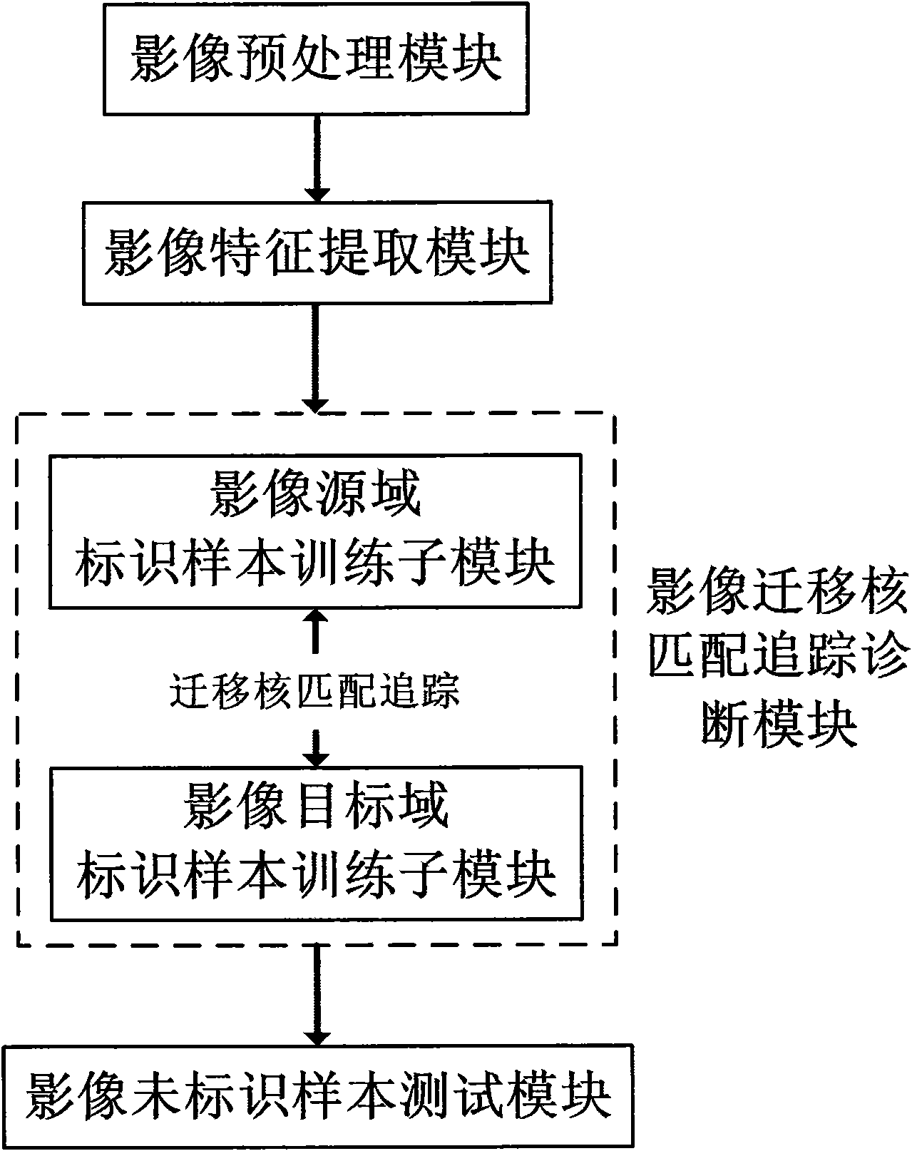 Medical image diagnosing system and diagnosing method based on migrated nuclear matching tracing