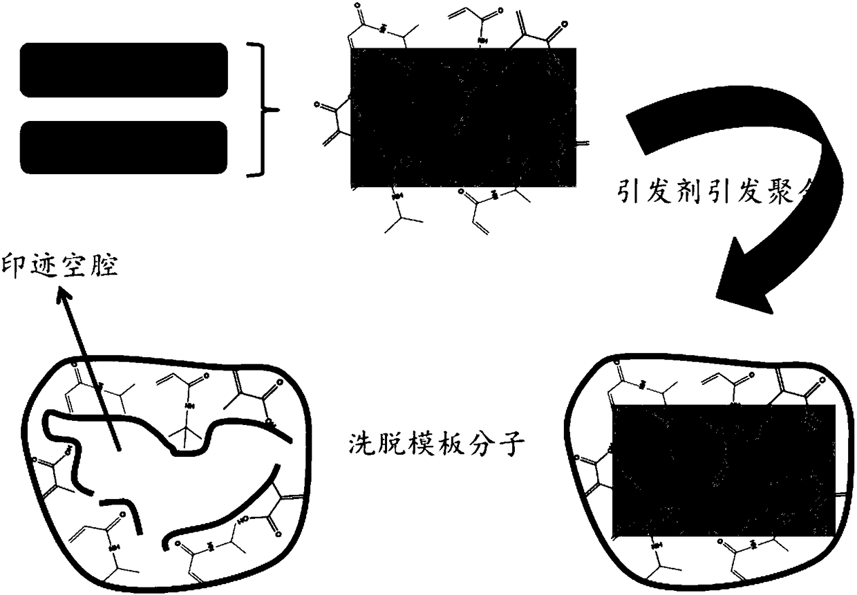 Preparation method, product and application of molecularly imprinted polymer