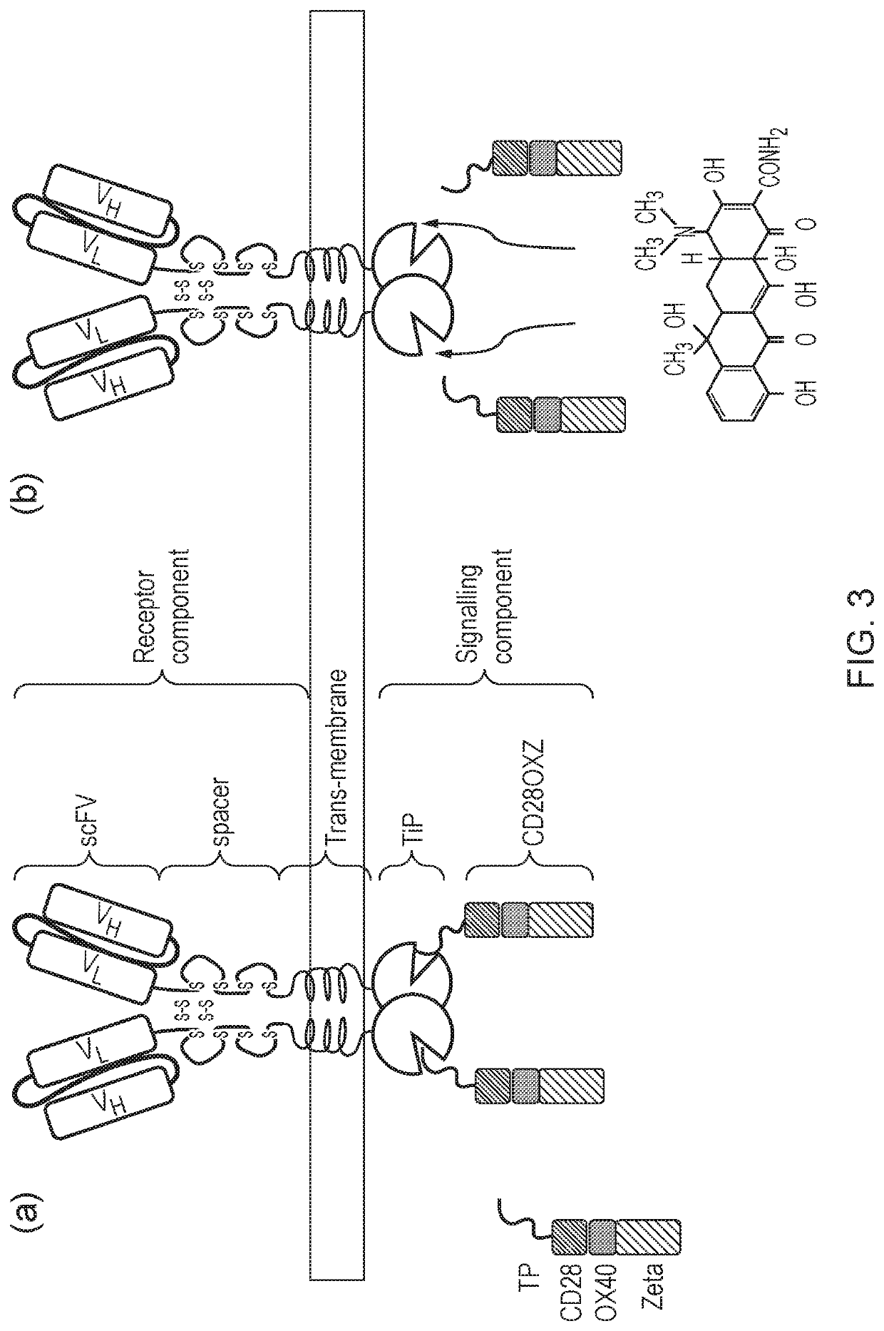 Signalling system