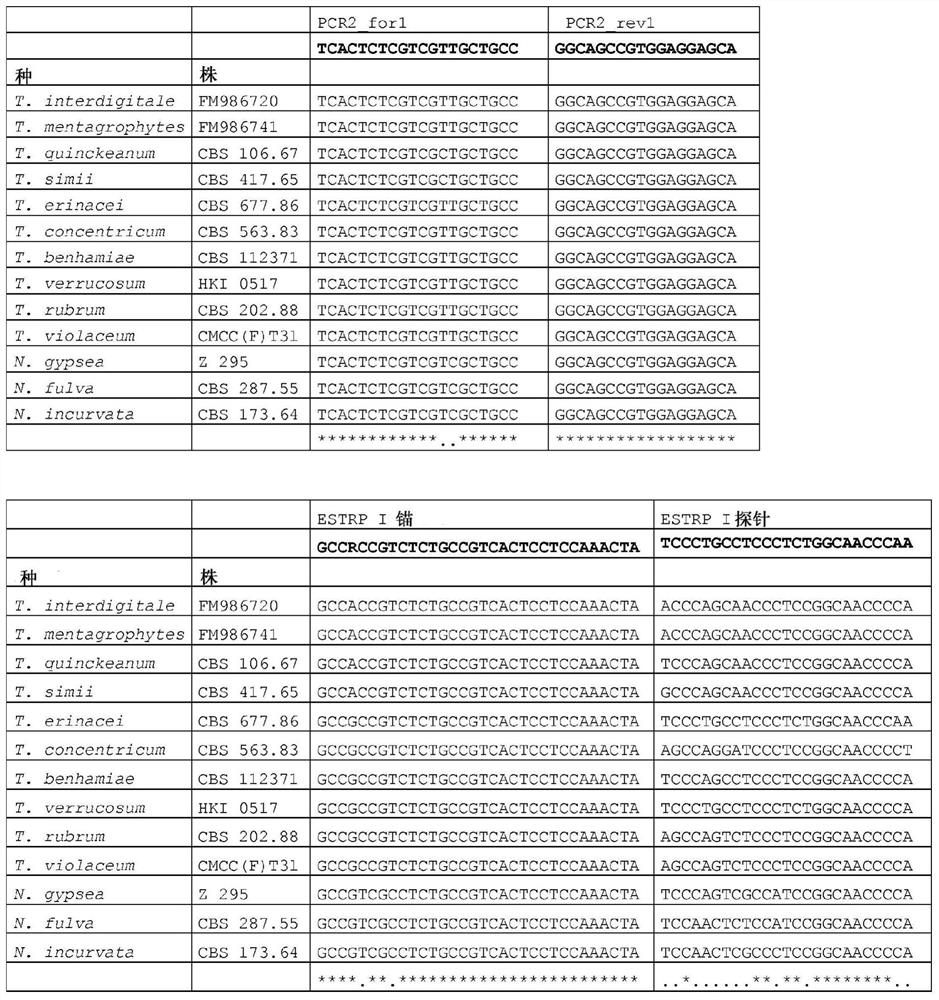 Method for determining dermatophytes