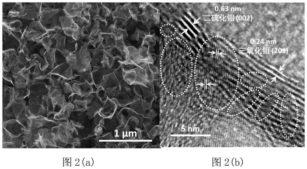 Simple construction method of nano carbon shell loaded molybdenum-based heterojunction and application of nano carbon shell loaded molybdenum-based heterojunction in lithium-sulfur battery