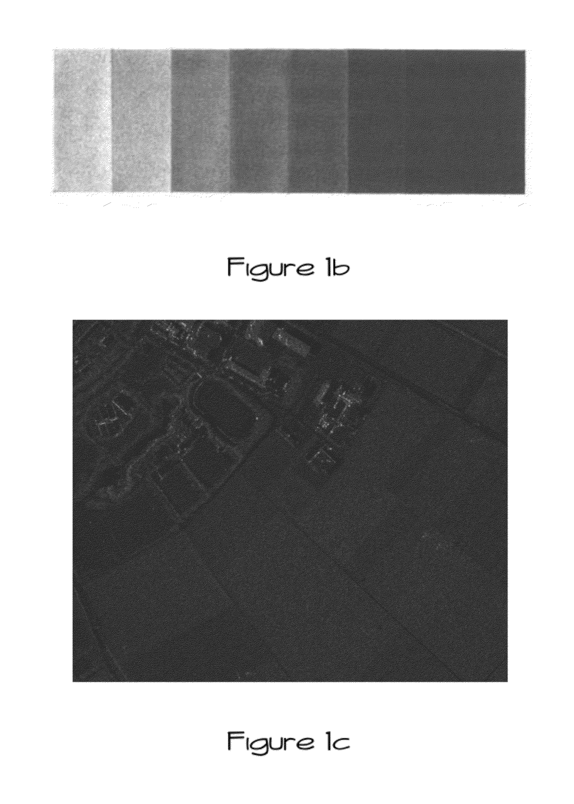 Multi-figure system for object feature extraction tracking and recognition