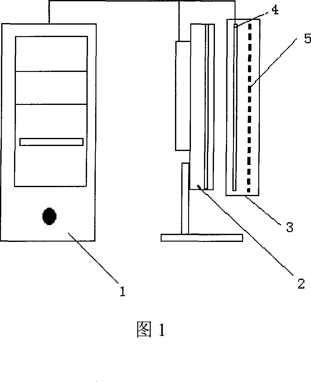 Bare hole visible liquid crystal raster stereoscopic picture display apparatus