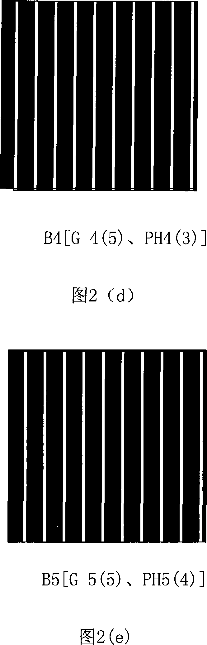 Bare hole visible liquid crystal raster stereoscopic picture display apparatus