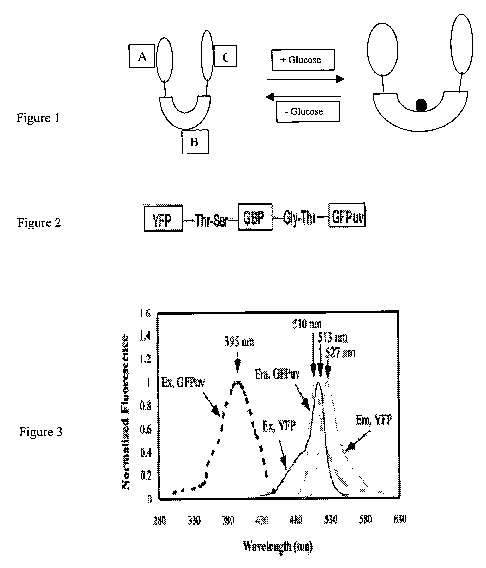 System and method for detecting bioanalytes and method for producing a bioanalyte sensor