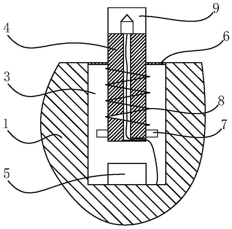 Ear acupoint model