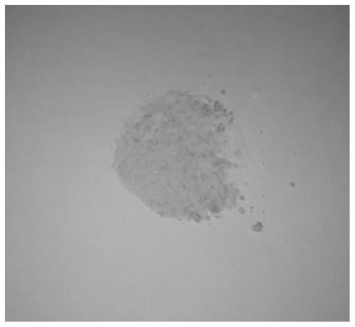 A temperature-sensitive microencapsulated inhibitor for preventing spontaneous combustion of coal and its preparation method