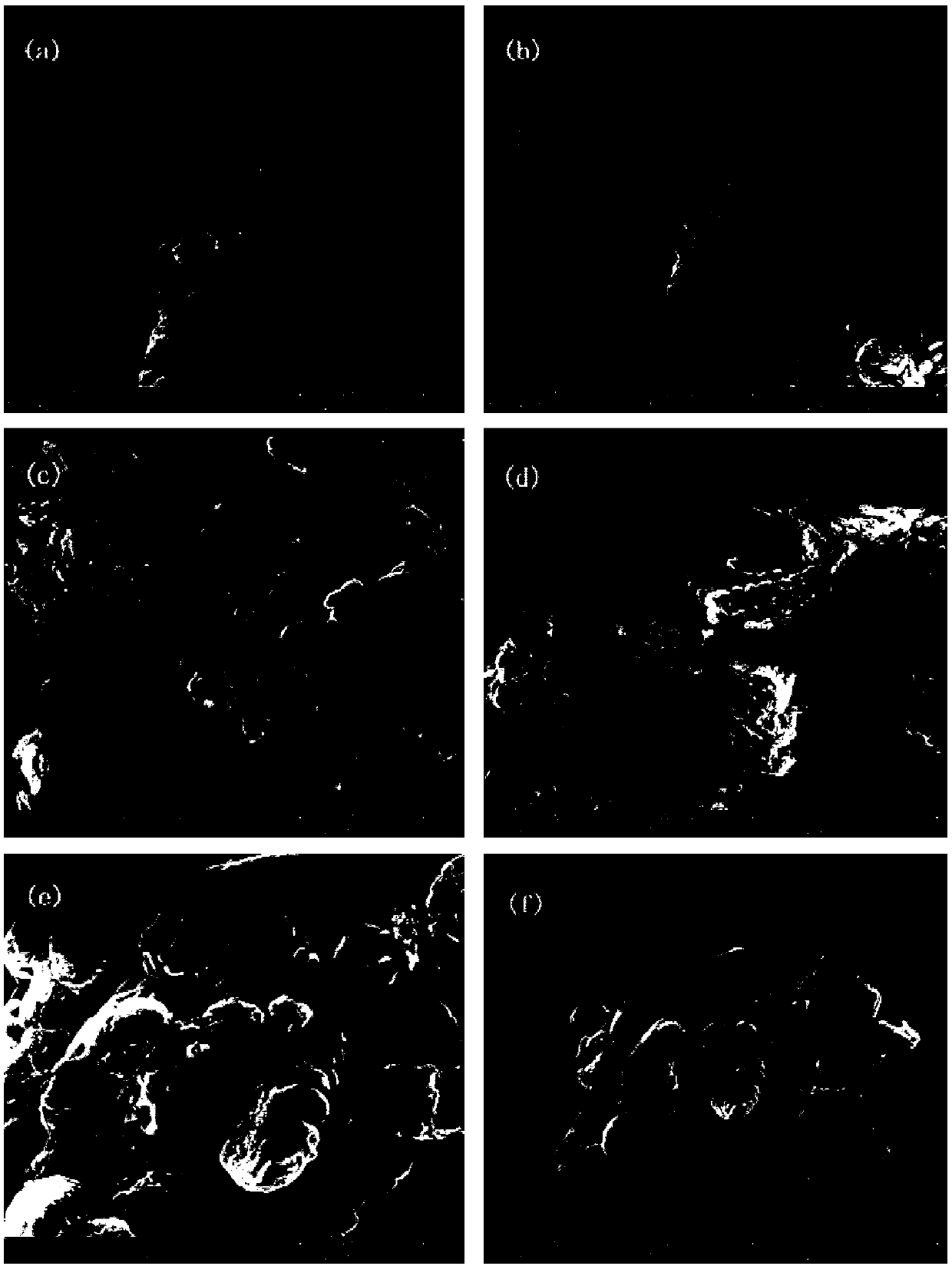 Protonation modified g-C3N4 (graphitic carbon nitride) material, preparation thereof and application of protonation modified g-C3N4 material to anode material of lithium ion battery