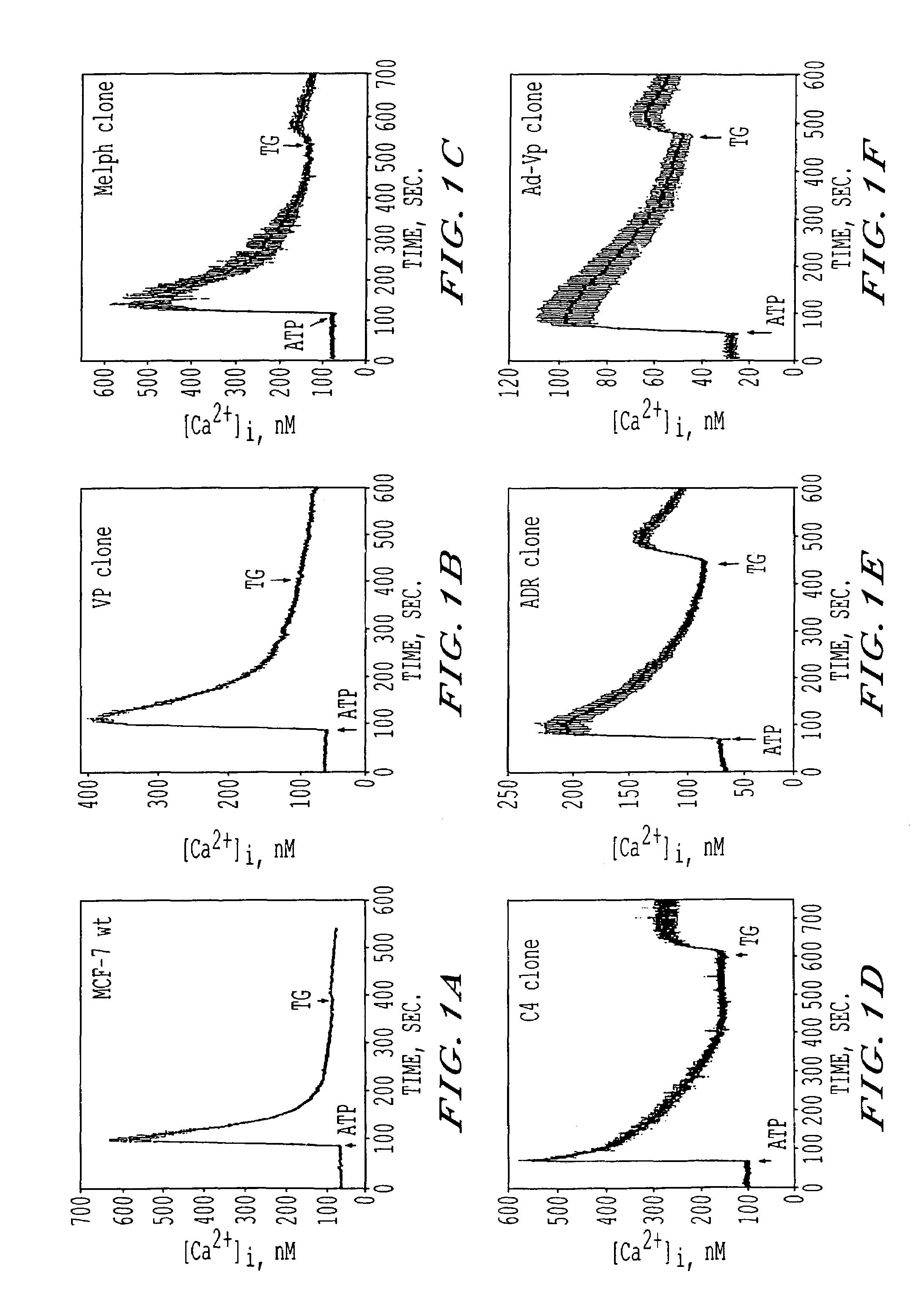 Methods for diagnosing drug-resistant cancer cells or for identifying chemotherapeutic agents by measuring anomalous intracellular ion and/or second messenger dynamics