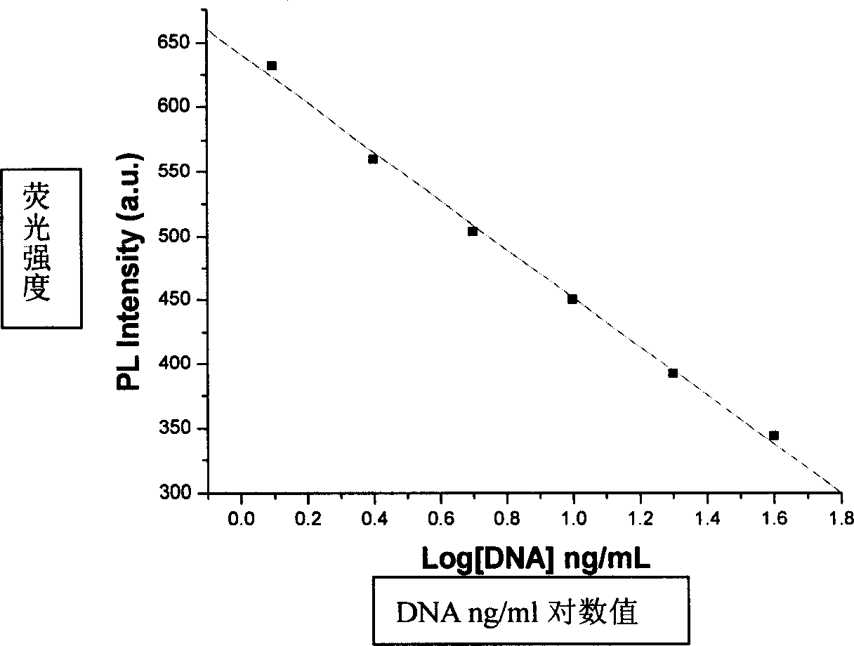 Method for quantitative detection of DNA using quantum dot as fluorescence tracer