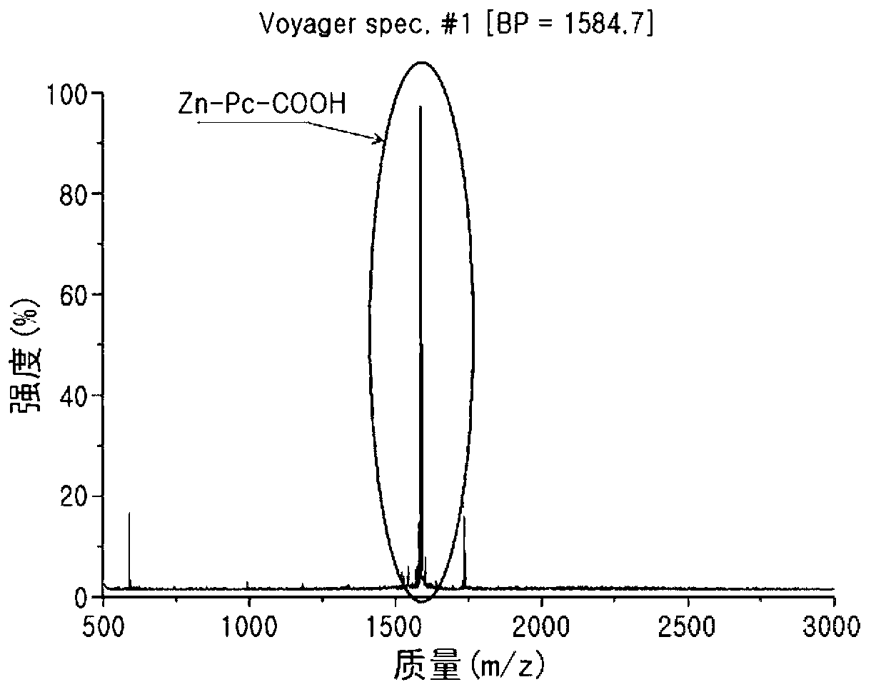 Conjugate for photodynamic diagnosis or therapy and method for preparing same