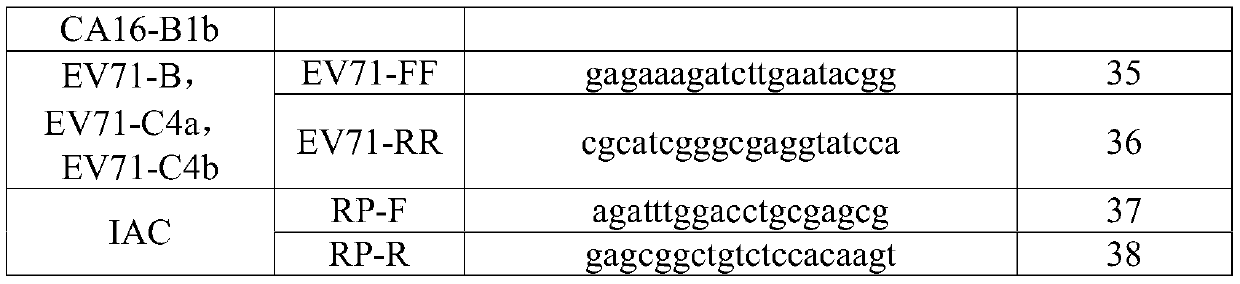 Nucleic acid reagents, kits and systems for detecting enteroviruses
