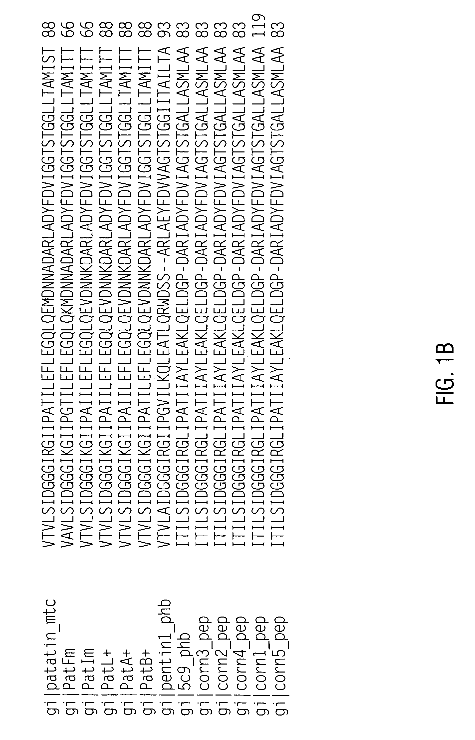 Preparation of deallergenized proteins and permuteins