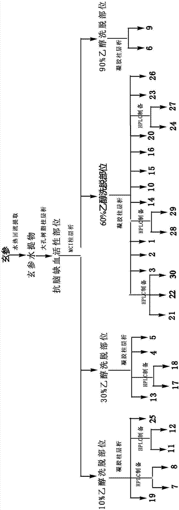 Radix scrophulariae aqueous extract and application thereof
