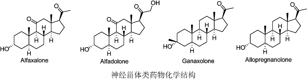 Novel GABA (gamma-aminobutyric acid)  receptor modulator and application thereof