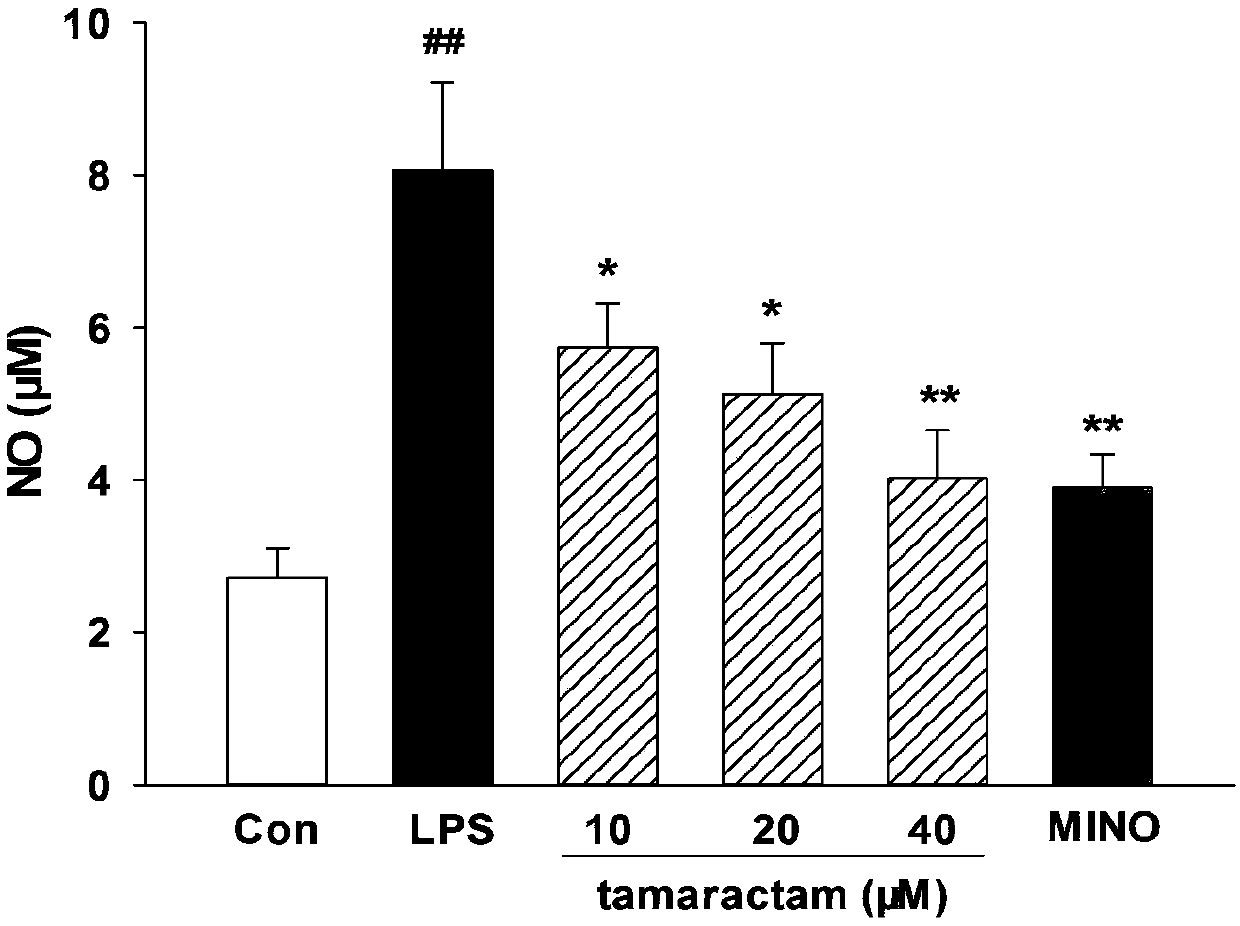 Application of lactan compound to preparation of neuritis inhibiting drugs