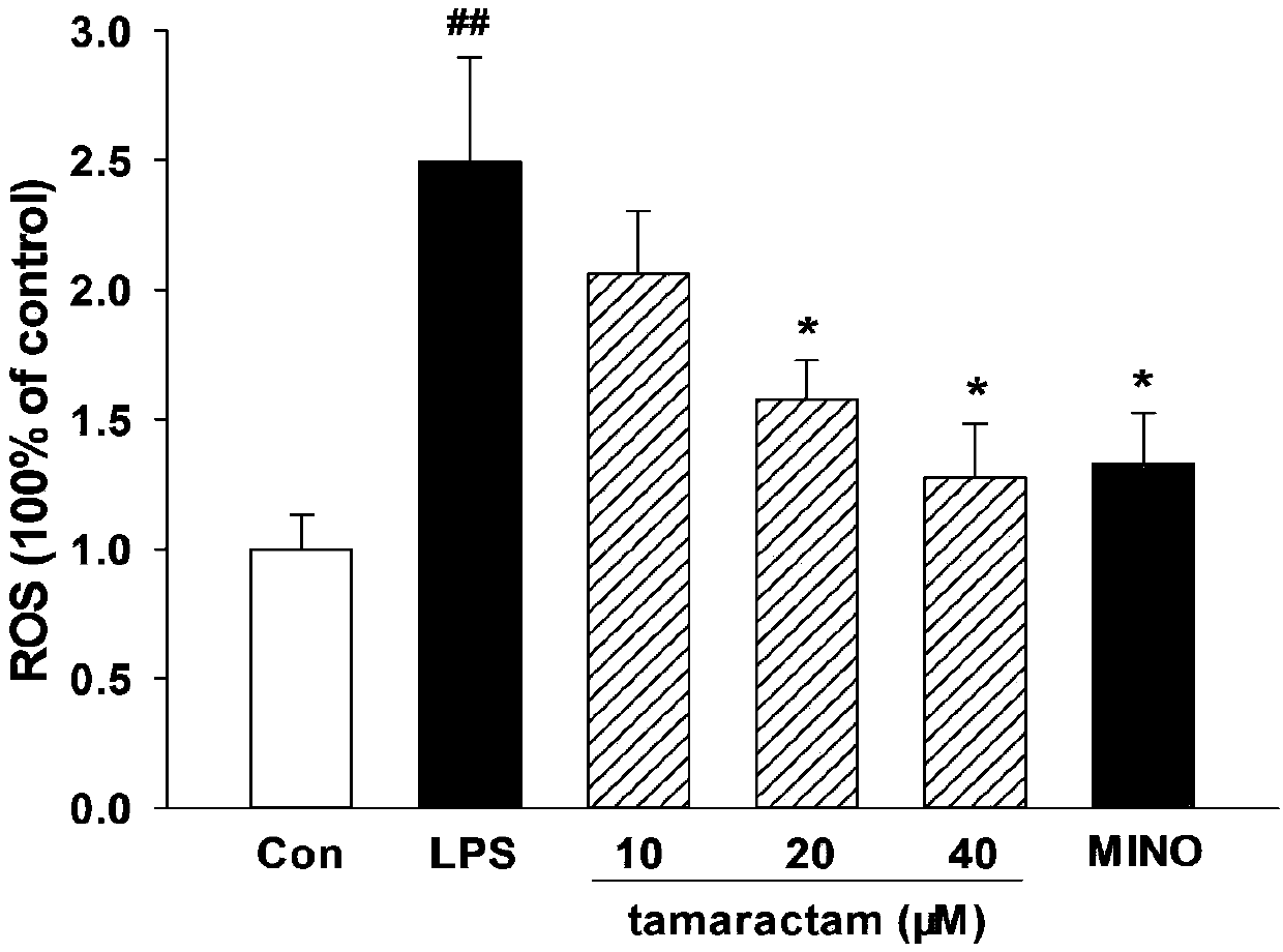 Application of lactan compound to preparation of neuritis inhibiting drugs