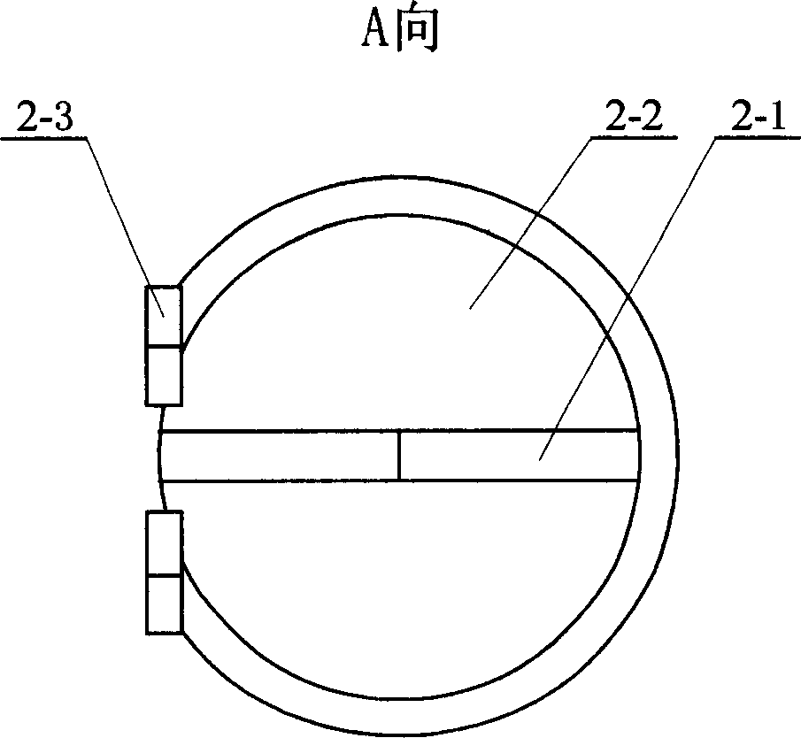 Screw pile forming device and forming method