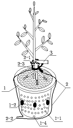Device applicable to mycorrhizal seedling cultivation under open-air condition and method
