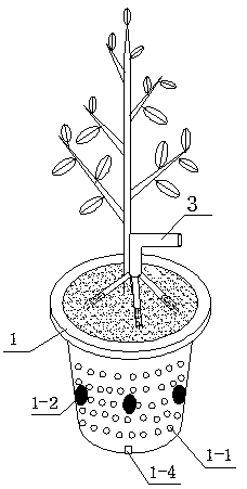 Device applicable to mycorrhizal seedling cultivation under open-air condition and method