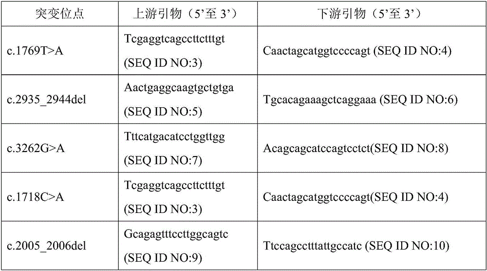 MMAF novel virulence gene and application thereof