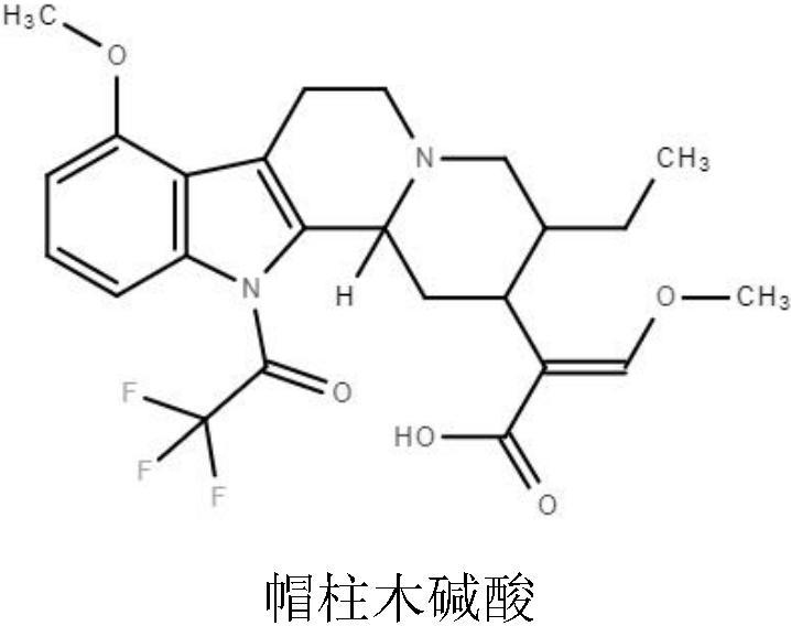 Anti-Kratom monoclonal antibody and kit for detecting Kratom