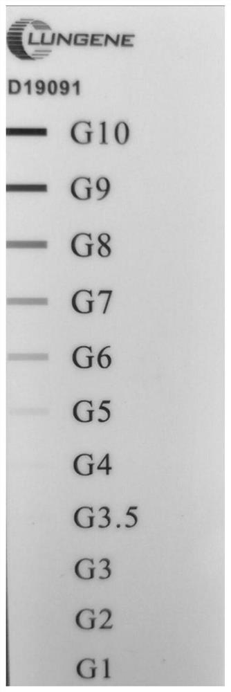 Anti-Kratom monoclonal antibody and kit for detecting Kratom