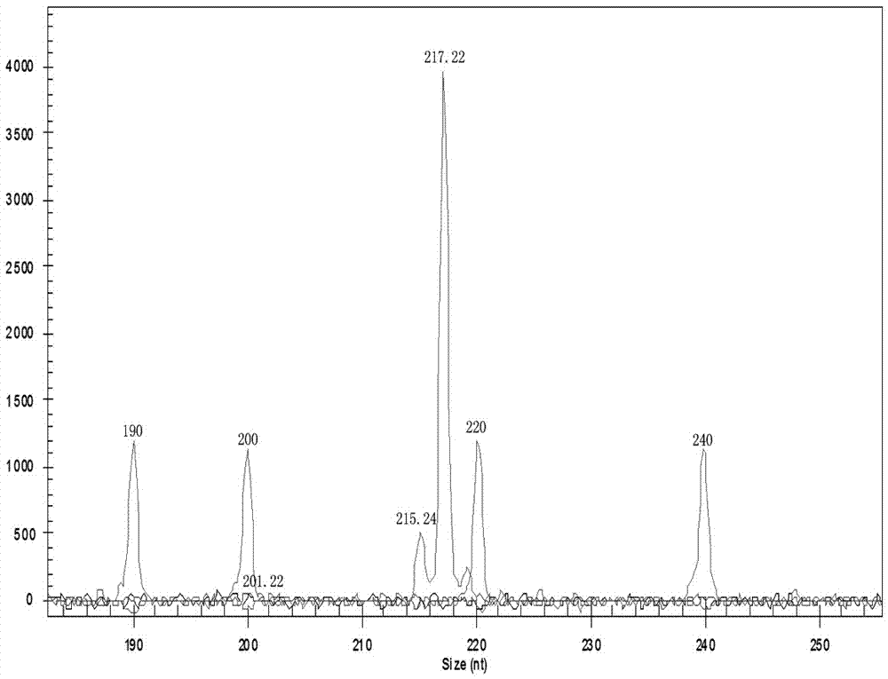 Peptide nucleic acid of UGT1A1 gene polymorphism detection primer and kit thereof