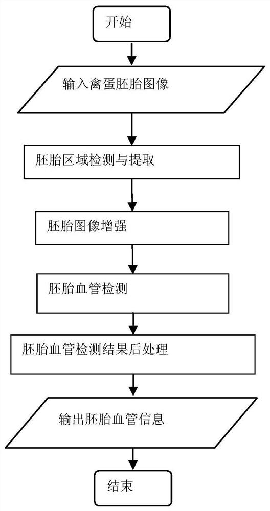 Extraction Method of Slender Connected Regions in Digital Image