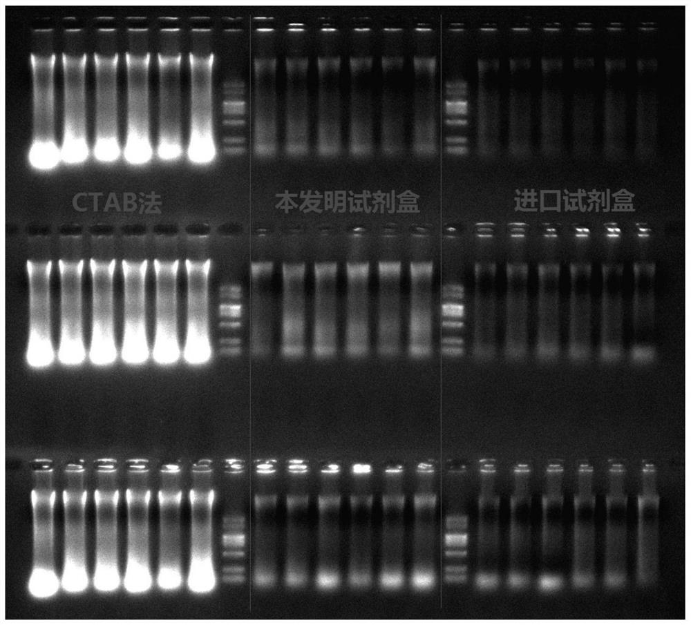Plant tissue genome dna extraction kit and high-throughput extraction method
