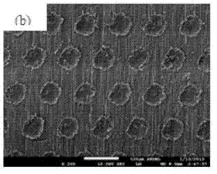 Production method of aluminum alloy bionic superhydrophobic surface