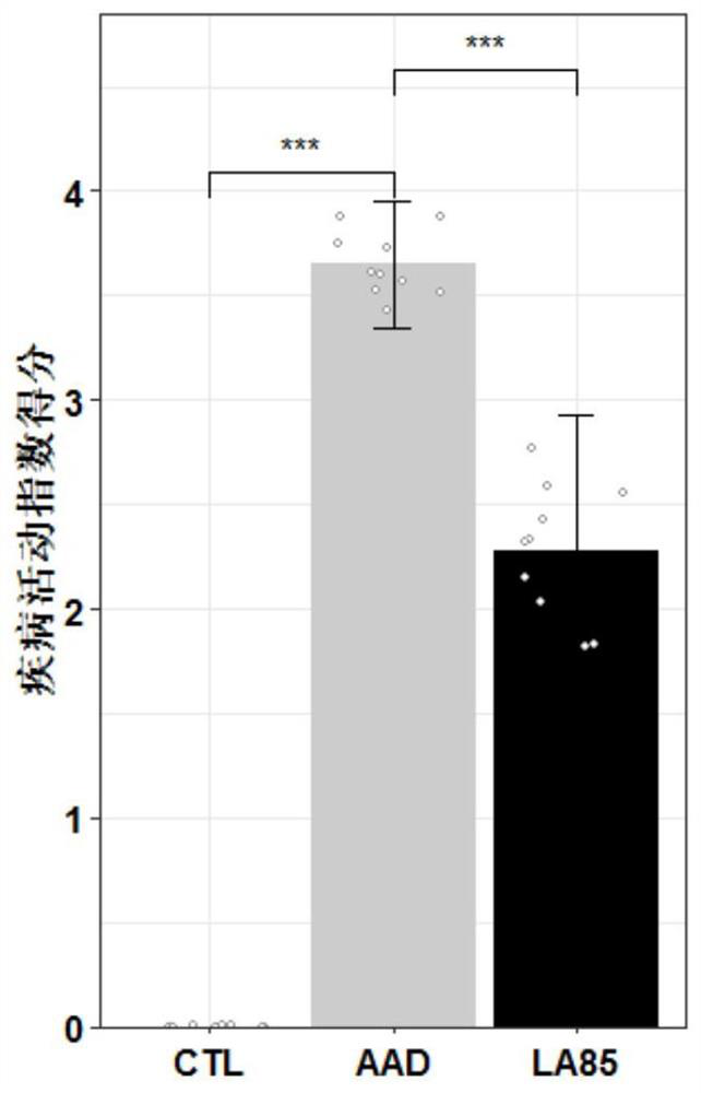 Application of lactobacillus acidophilus in preparation of food or medicine for preventing or treating antibiotic-associated diarrhea