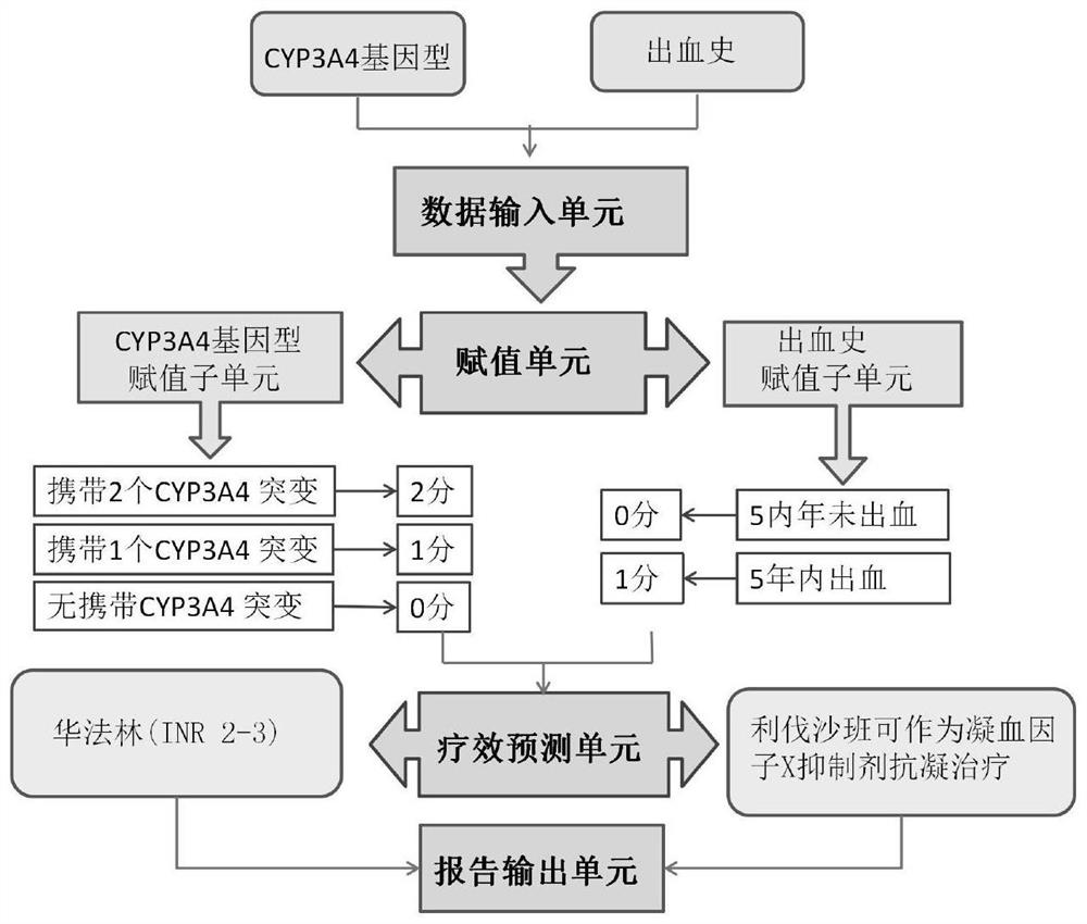 Model for predicting rivaroxaban anticoagulation bleeding risk and application thereof