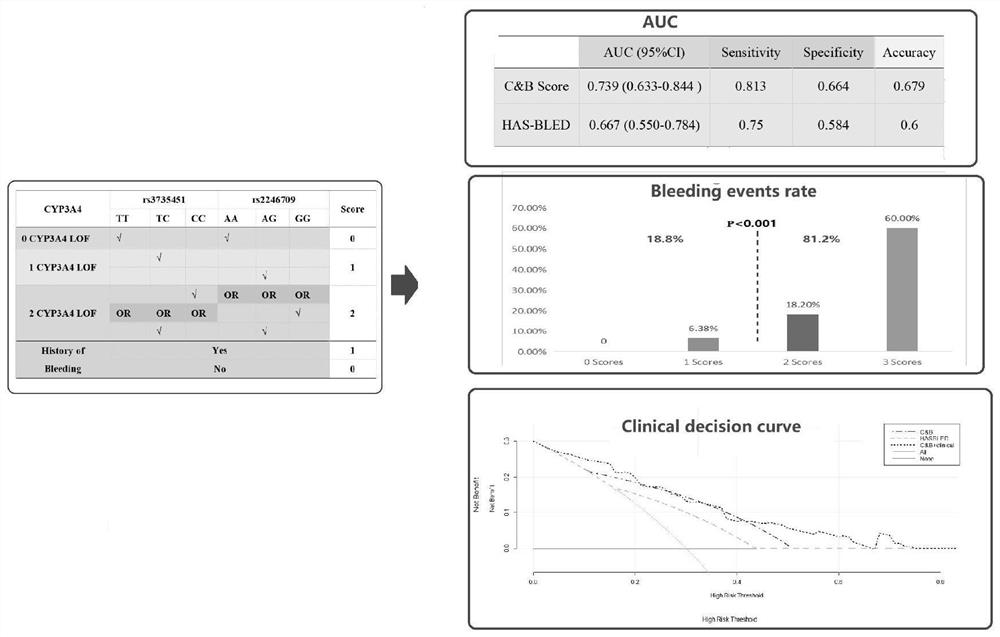 Model for predicting rivaroxaban anticoagulation bleeding risk and application thereof