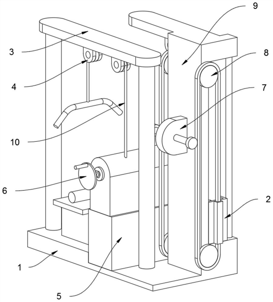 A high-tension back muscle trainer based on physical education teaching