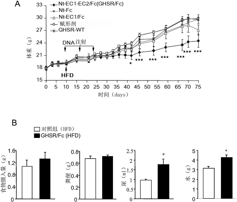 Growth hormone secretagogue receptor based protein, nucleic acids and methods and uses thereof