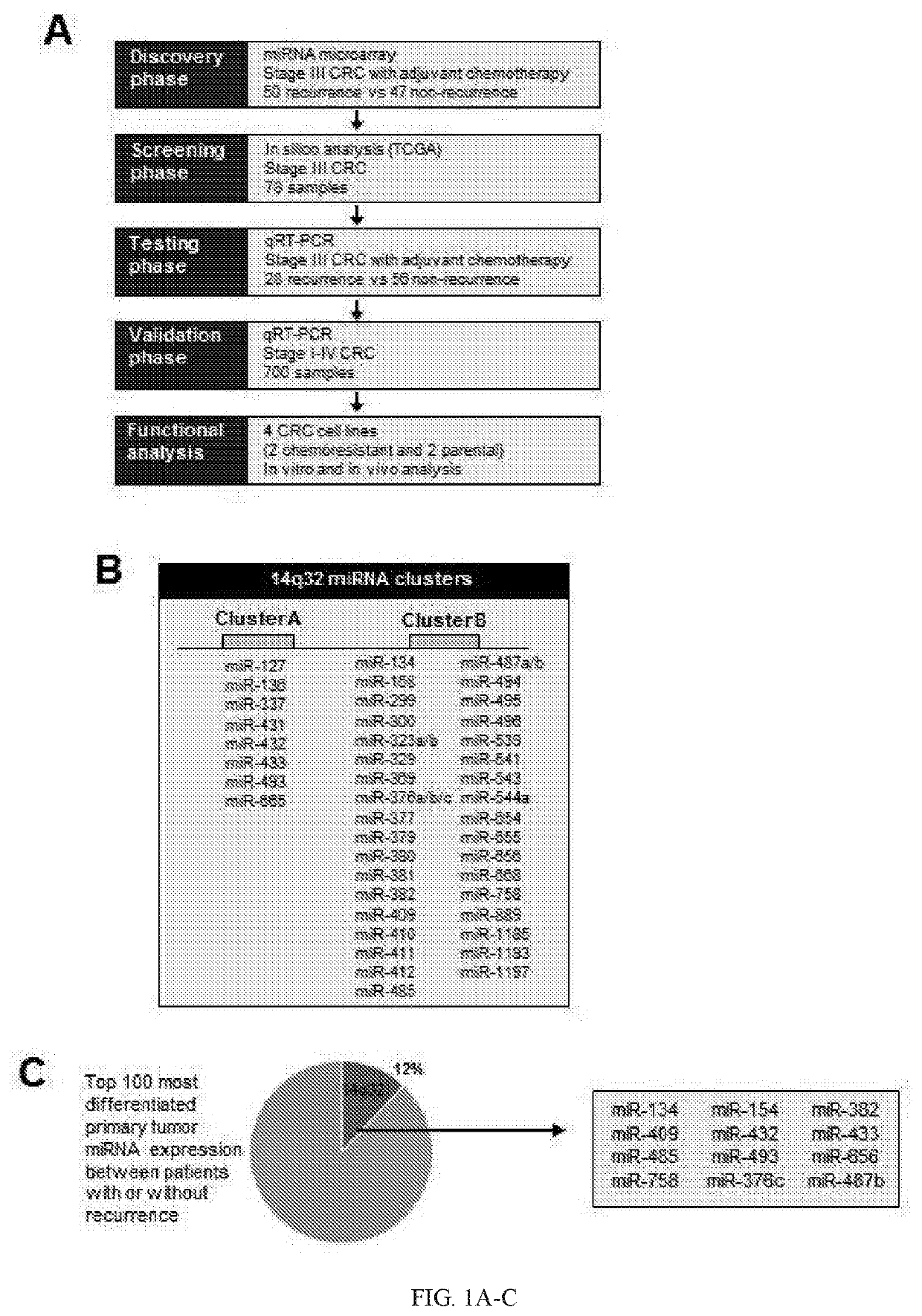 Methods for diagnosing, prognosing, and treating colorectal cancer using biomarker expression