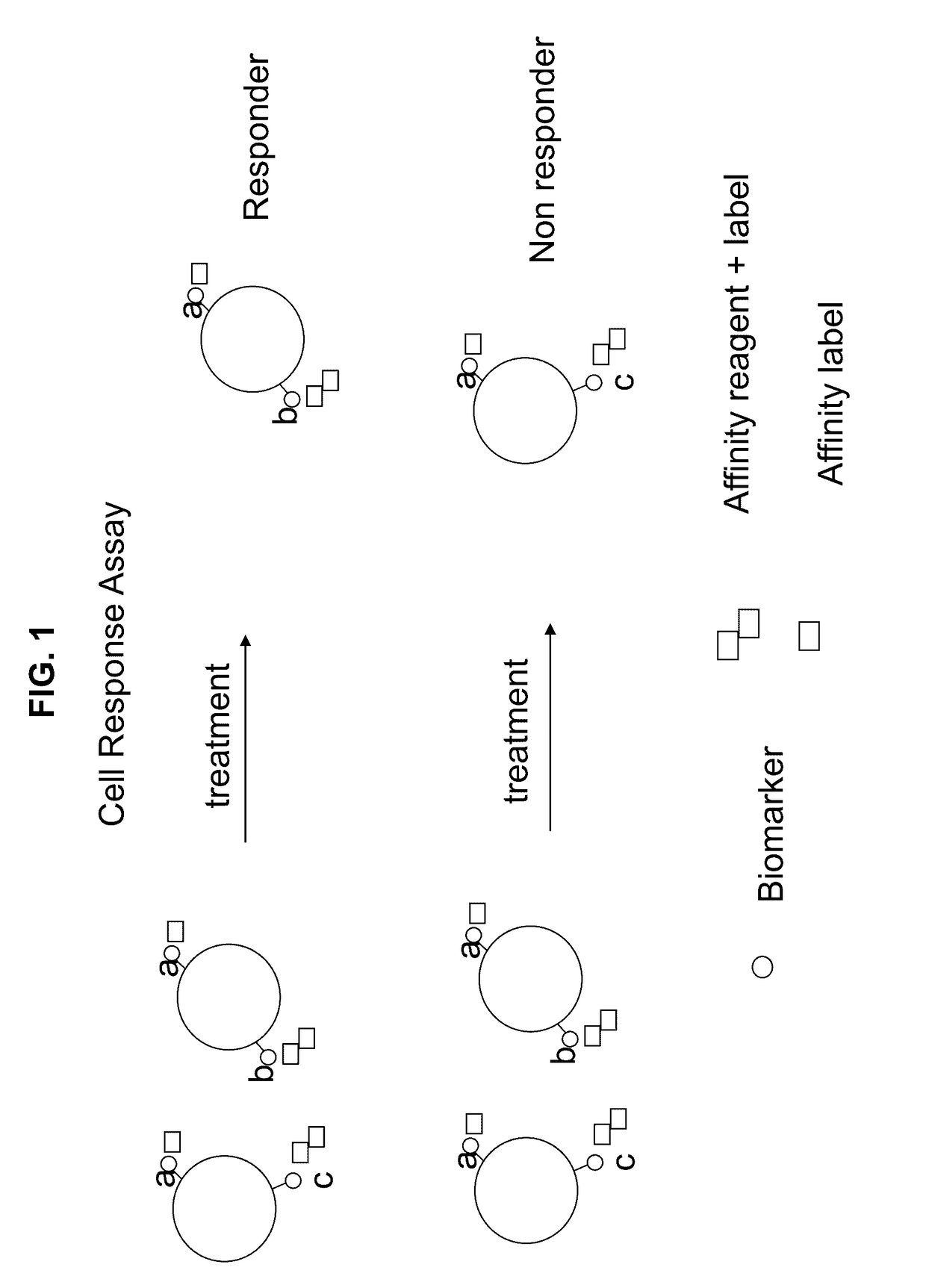 Cell response assay for cancer and methods of producing and using same
