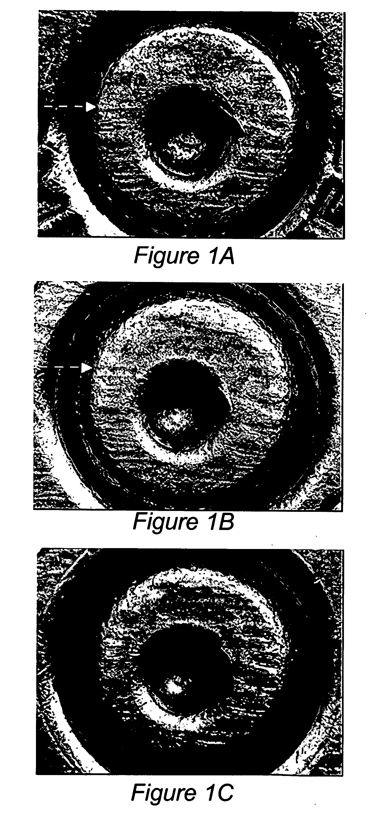 Method and apparatus for alignment, comparison & identification of characteristic tool marks, including ballistic signatures