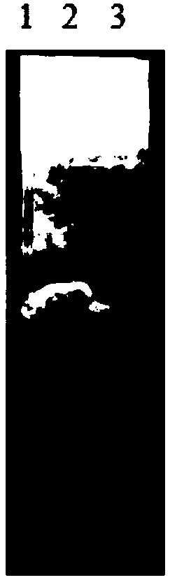 Chinese herbal medicine oral liquid for treating digestive tract disease of poultry and preparation method thereof