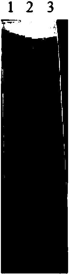 Chinese herbal medicine oral liquid for treating digestive tract disease of poultry and preparation method thereof