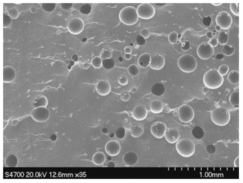 Nanocomposite foaming agent and its preparation method and foamed product