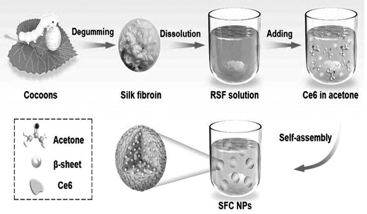 Method for preparing nanoparticles by combining regenerated silk fibroin and photosensitizer
