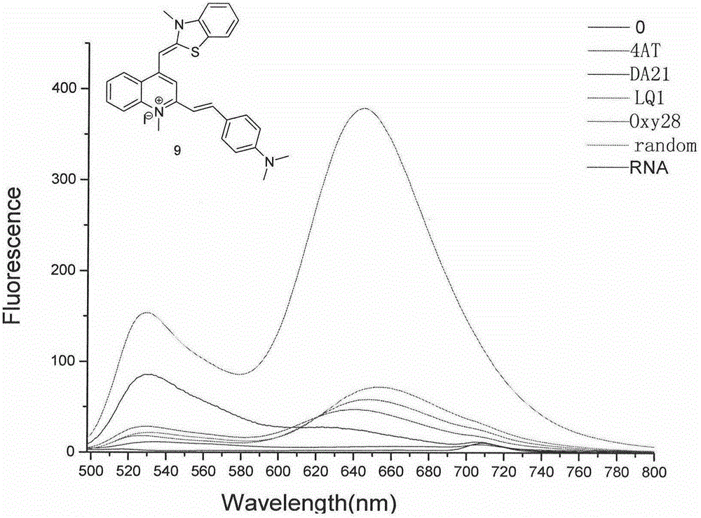 Thiazole orange phenylethylene compound serving as G-quadruplex nucleic acid fluorescent probe